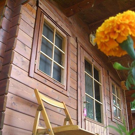 Onur Motel Faralya Fethiye Exterior foto